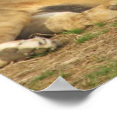 Lionscriptie Poster (Hoek)