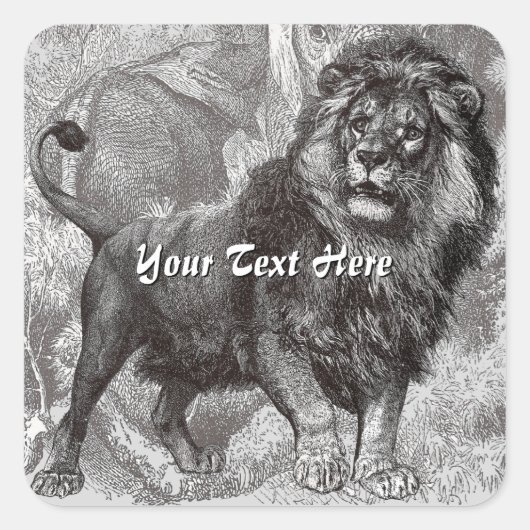 lionstickers vierkante sticker (Voorkant)