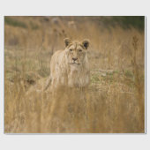 LIONTHEID IN DE GRAS CADEAUPAPIER (Vlak)