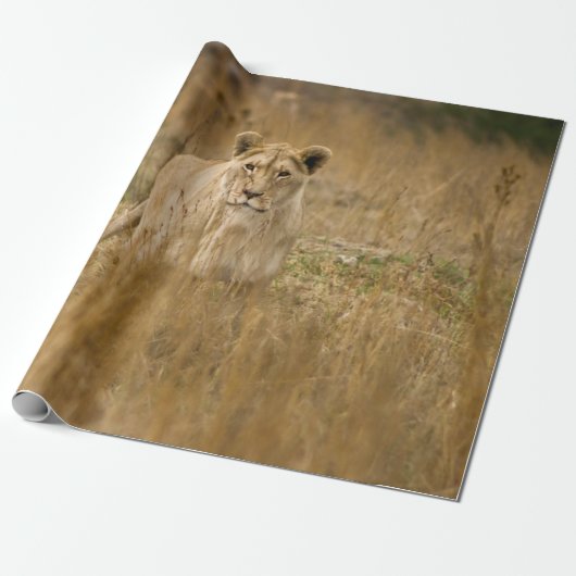LIONTHEID IN DE GRAS CADEAUPAPIER (Uitgerold)