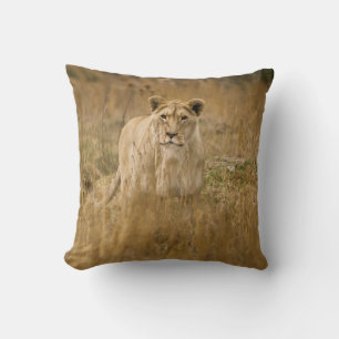 LIONTHEID IN DE GRAS KUSSEN