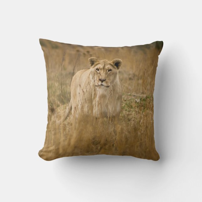 LIONTHEID IN DE GRAS KUSSEN (Voorkant)