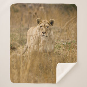 LIONTHEID IN DE GRAS SHERPA DEKEN
