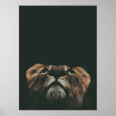 LIONTHOUDENDE KIJK POSTER (Voorkant)