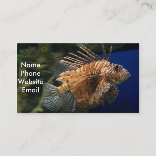 Lionvisprofielkaart Visitekaartje (Voorkant)