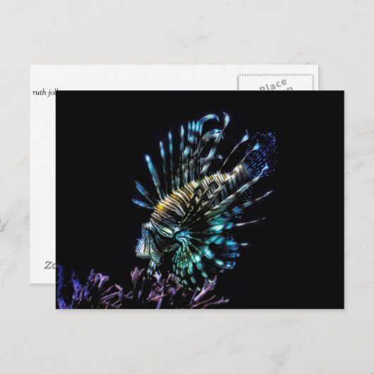 Lionviszwemmen Briefkaart (Voorkant / Achterkant)