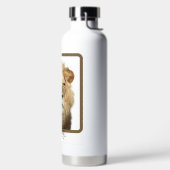 Lionwaterfles Waterfles (Links)