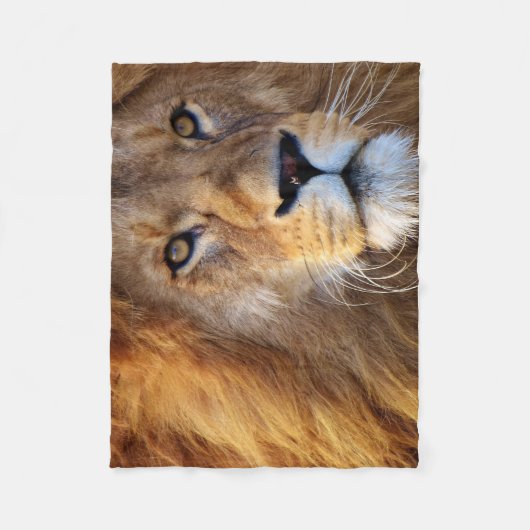 Lionzijde met mane deken (Voorkant)