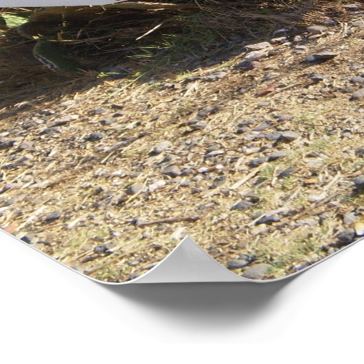 Lipari Roadside Sign Poster (Hoek)