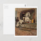 Lipizzan Dressage Briefkaart (Voorkant / Achterkant)