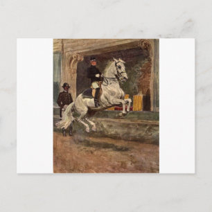 Lipizzan hengst dressuur briefkaart