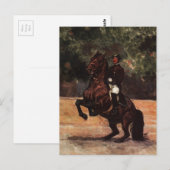 Lipizzan Stallion Dressage Briefkaart (Voorkant / Achterkant)