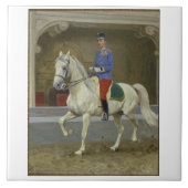 Lipizzan Stallion Trotting Tegeltje (Voorkant)