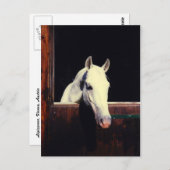 Lipizzaner Horse Briefkaart (Voorkant / Achterkant)