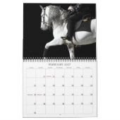 Lipizzaner Stallions Kalender (Feb 2027)