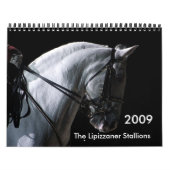 Lipizzaner Stallions Kalender (Hoes)