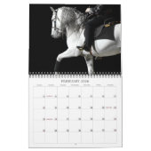 Lipizzaner Stallions Kalender (Feb 2026)