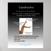 Lipodislos Poster (Voorkant)