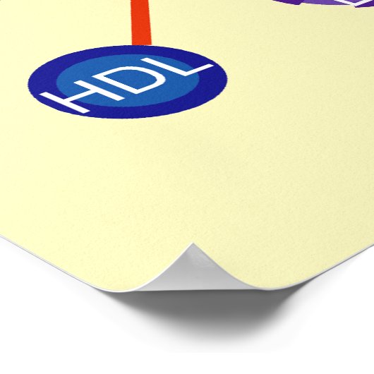 Lipoproteïne HDL Diagram met hoge dichtheid Poster (Hoek)
