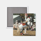 Lippizan paardenmagneet magneet (Voorkant / Achterkant)
