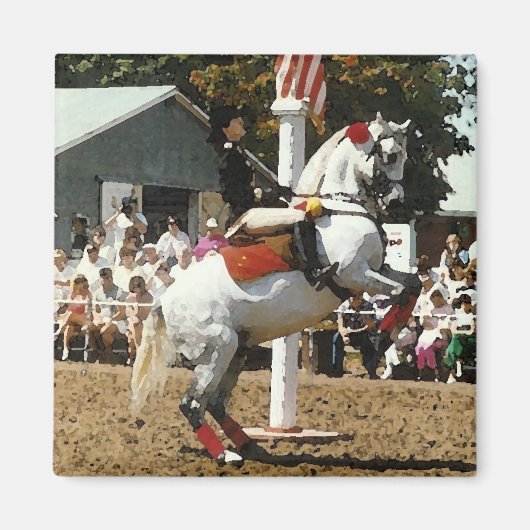 Lippizan paardenmagneet magneet (Voorkant)