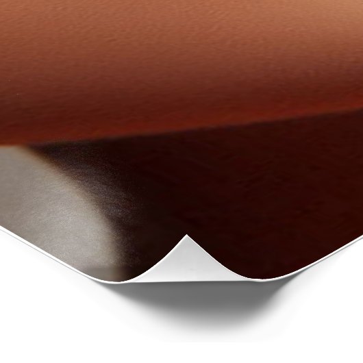 Lips Perfect Poster (Hoek)