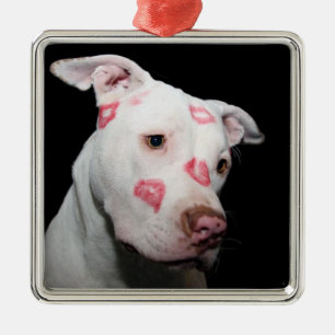 Lipstick Kisses of Love for the Pitbull Dog Metalen Ornament