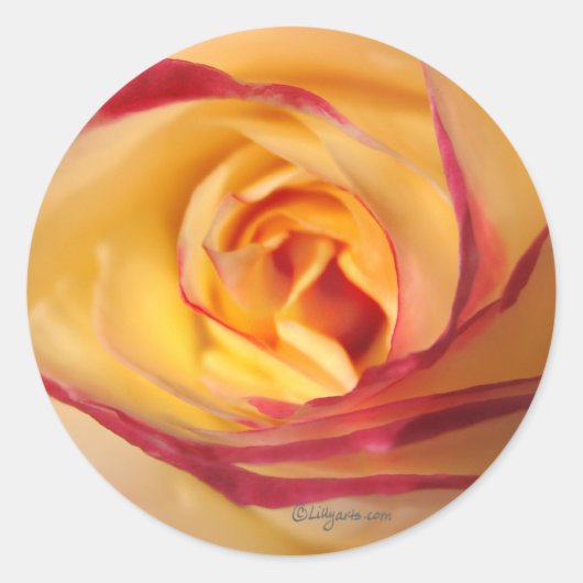 Lipstick Sunshine Roos Envelope Seal Ronde Sticker (Voorkant)