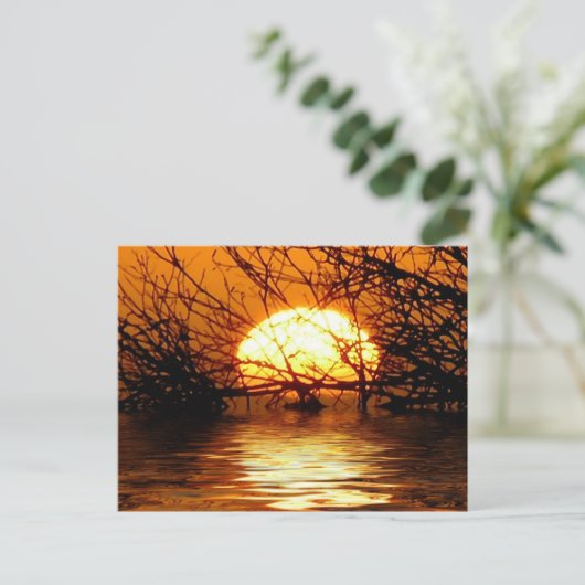 Liquid Sunset Briefkaart (Staand voorkant)