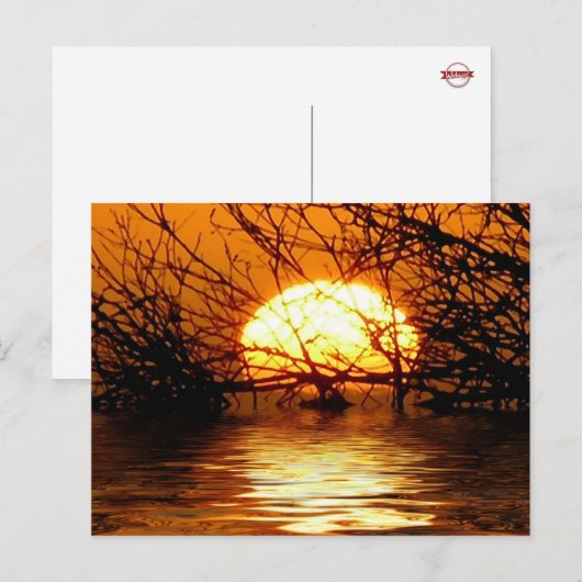 Liquid Sunset Briefkaart (Voorkant / Achterkant)