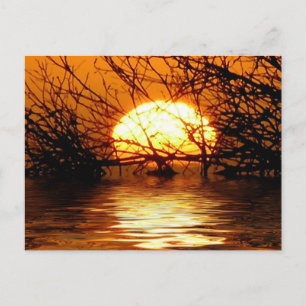 Liquid Sunset Briefkaart