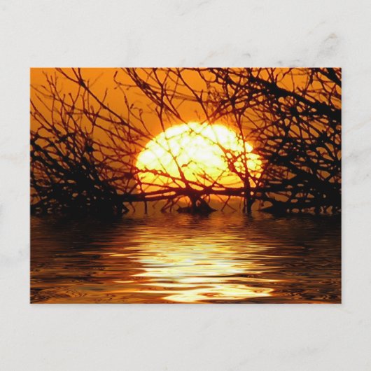 Liquid Sunset Briefkaart (Voorkant)