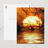 Liquid Sunset Vertical Briefkaart (Voorkant / Achterkant)