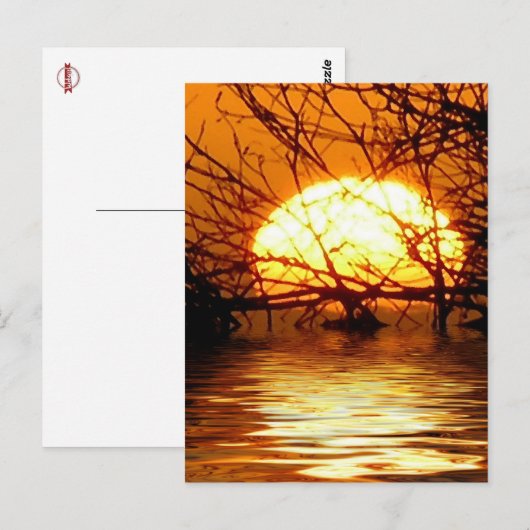 Liquid Sunset Vertical Briefkaart (Voorkant / Achterkant)