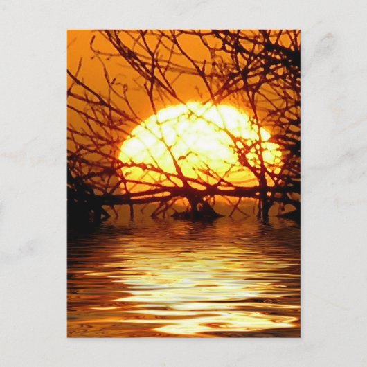 Liquid Sunset Vertical Briefkaart (Voorkant)