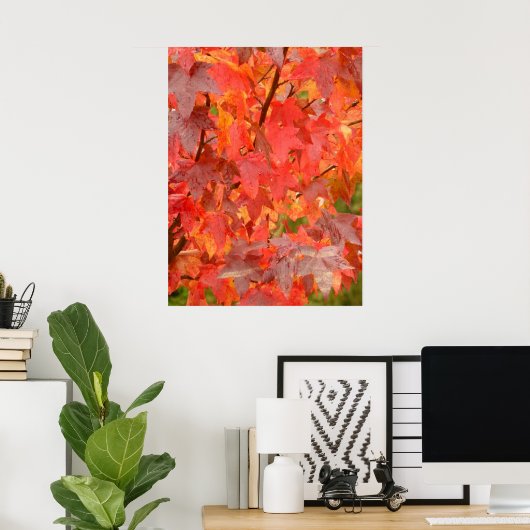 Liquidambar Leaves Poster (Thuiskantoor)