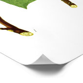 Liriodendron tulipifera poster (Hoek)