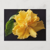 Lisa 1 - opgeleide brainfart briefkaart (Voorkant)