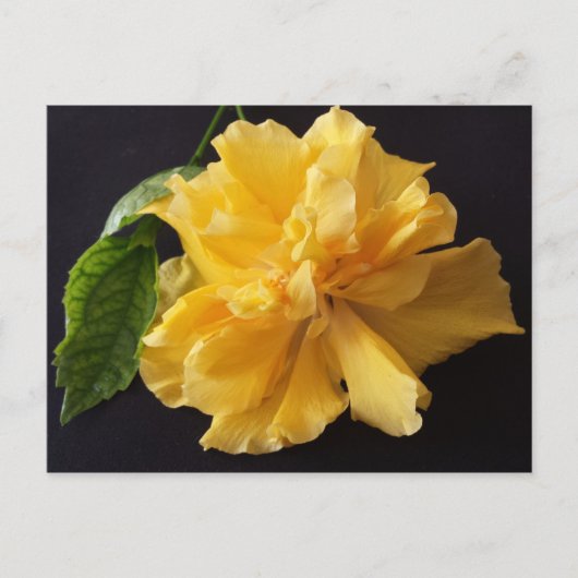 Lisa 1 - opgeleide brainfart briefkaart (Voorkant)