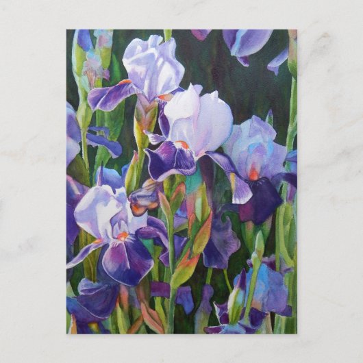 Lisa's Iris Garden Briefkaart (Voorkant)