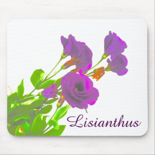 Lisianthus Purple Flowers Muismat