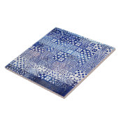 Lissabon Aquarium-tegels — Keramische poort met te Tegeltje (Zijkant)