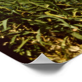 Lissabon Portugal 25 de Abril Bridge River Tejo Poster (Hoek)