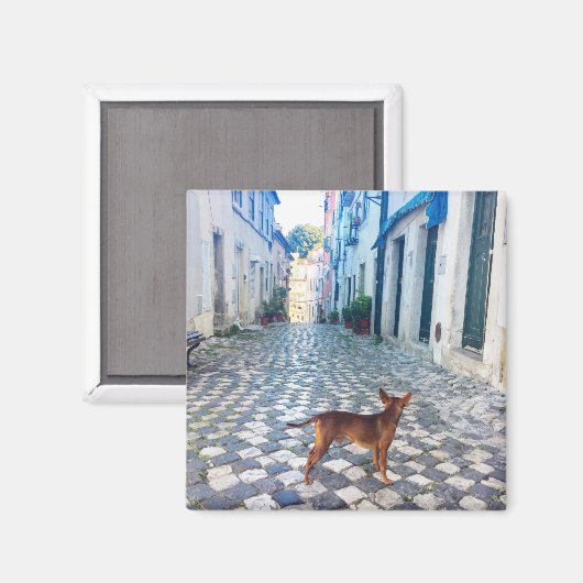Lissabon Puppy's Street Uitzicht Portugal Foto Magneet (Voorkant / Achterkant)