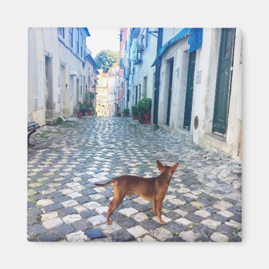 Lissabon Puppy's Street Uitzicht Portugal Foto Magneet (Voorkant)