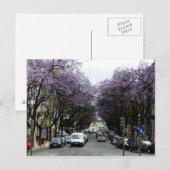 Lissabon Purple Flowers Briefkaart (Voorkant / Achterkant)