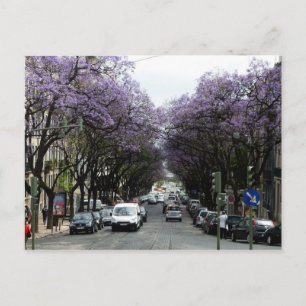 Lissabon Purple Flowers Briefkaart