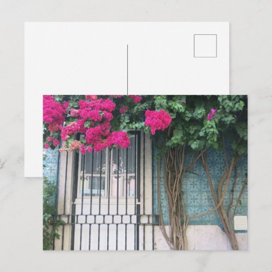 Lissabon-Tegels en bloemen Bouganvillea Briefkaart (Voorkant / Achterkant)