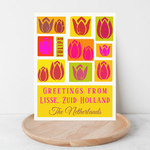 Lisse Tulpen Nederland Zuid Holland Briefkaart