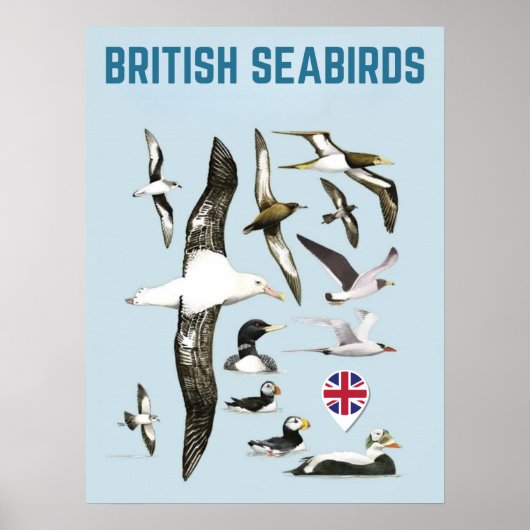 List of british seabirds united kingdoom birds poster (Voorkant)
